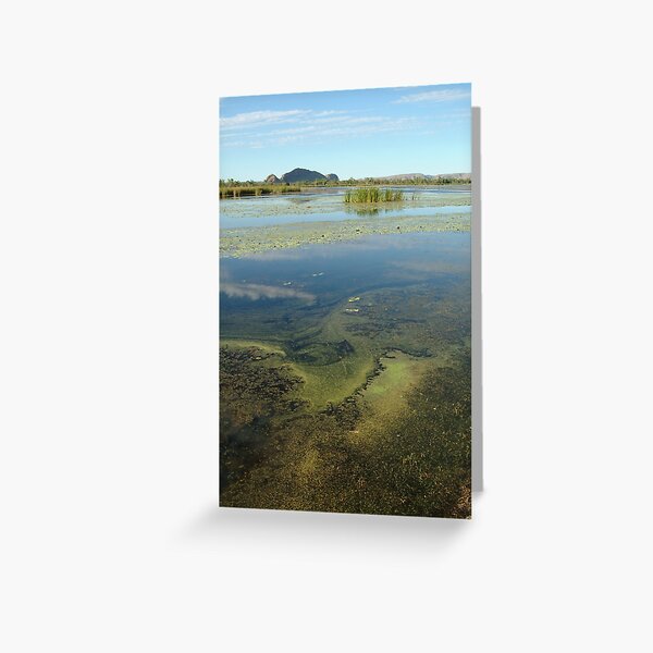 Greeting Card