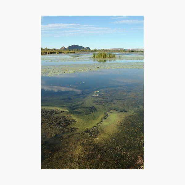 Photographic Print
