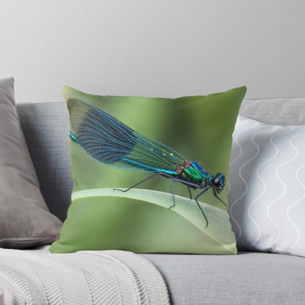 Item preview, Banded Demoiselle designed and sold by Ian Hufton.