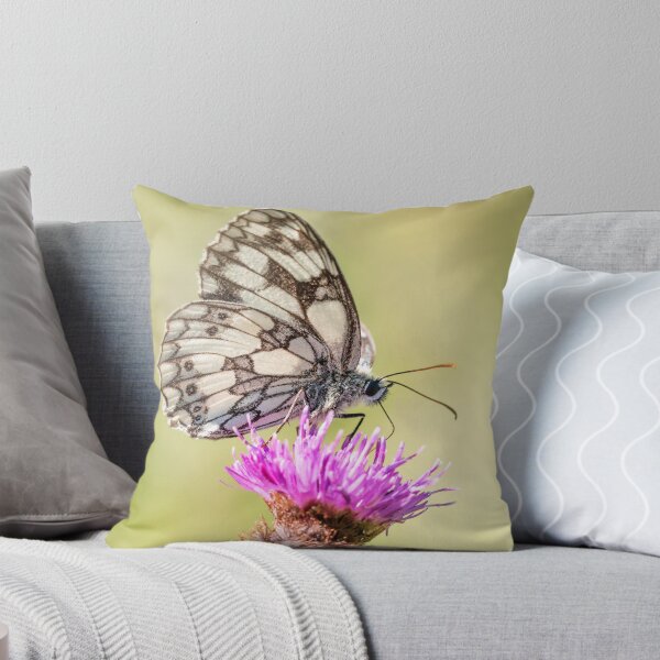 Aperçu de l'œuvre Marbled White Butterfly créée et vendue par Ian Hufton.