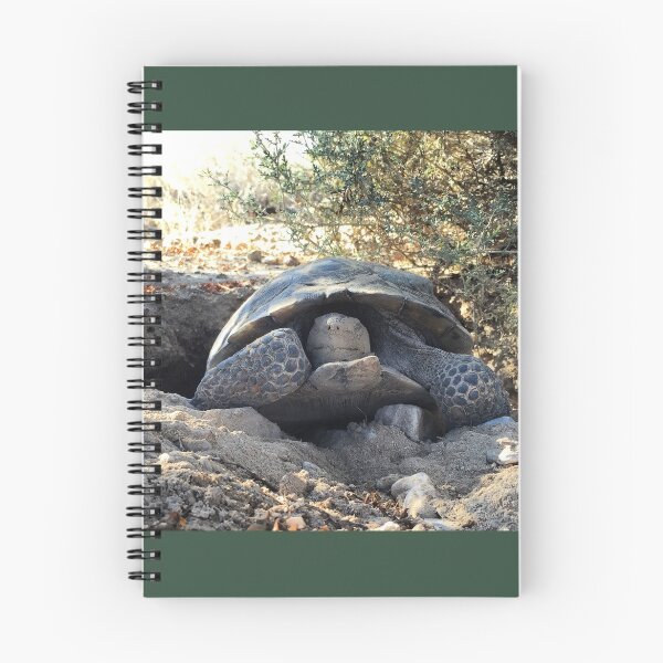 Item preview, Happy Tortoise designed and sold by Jenn Hyla.