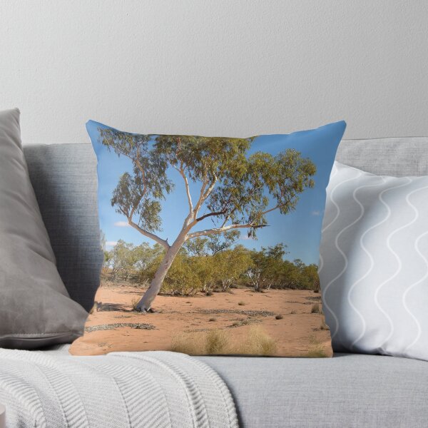 Item preview, Joe Mortelliti Gallery - Ghost gums in the Hay River bed, Simpson Desert, Northern Territory, Australia. designed and sold by thisisaustralia.