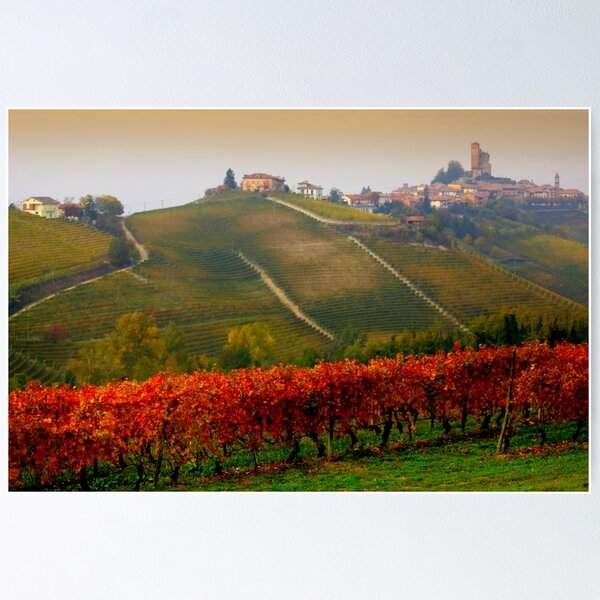 Item preview, Terre di Piemonte designed and sold by annalisa56.
