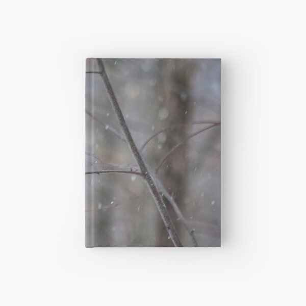 Cardinal In The Snow Hardcover Journal