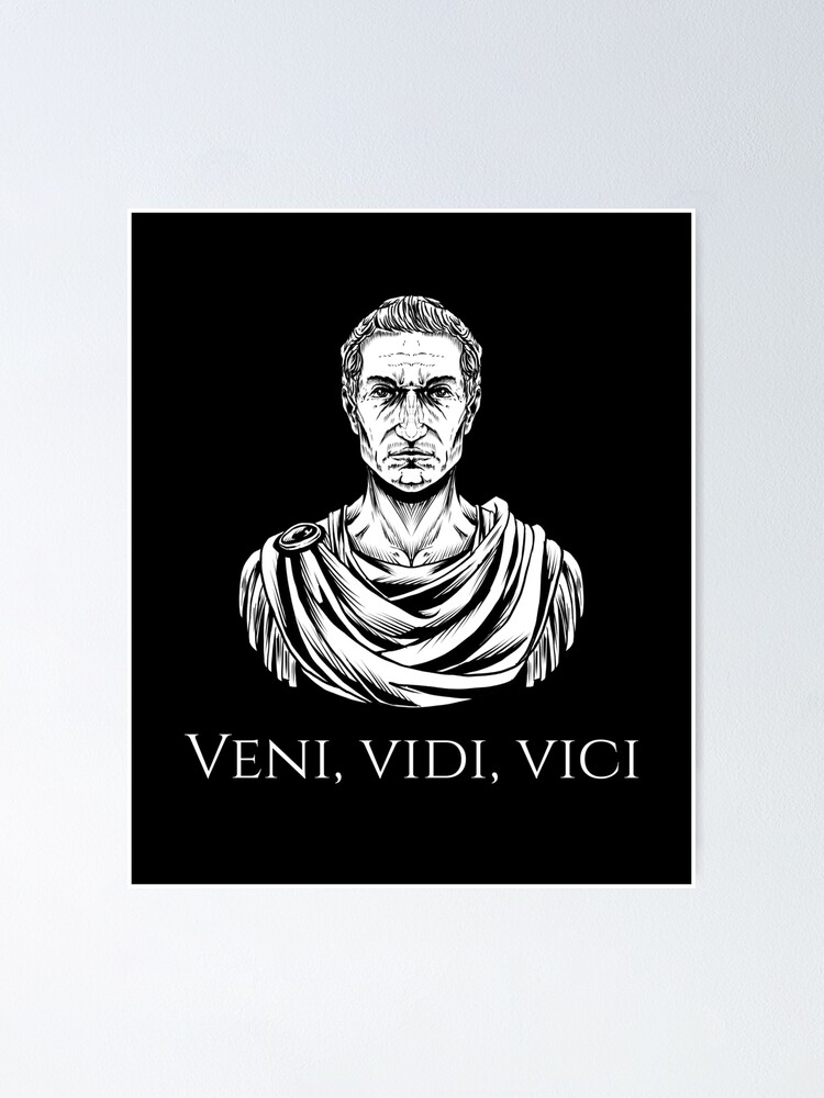 Veni Vidi Vici Posters and Art Prints for Sale