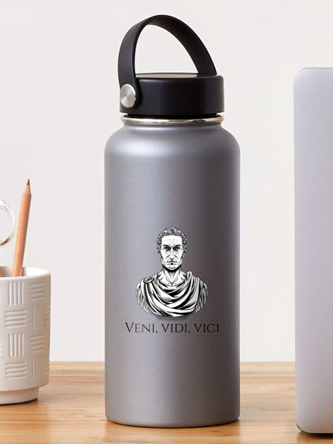 VENI VIDI VICI Coffee Tea Ceramic Mug Rome Julius Caesar Bust