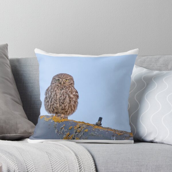 Item preview,  Little Owl designed and sold by Ian Hufton.