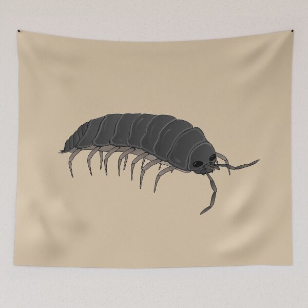 Item preview, Terrestrial isopod crustacean animal: woodlouse designed and sold by NatureNature.
