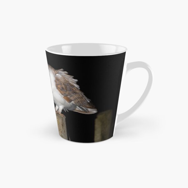 Aperçu de l'œuvre Barn Owl créée et vendue par Ian Hufton.