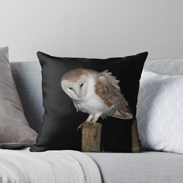 Item preview, Barn Owl designed and sold by Ian Hufton.
