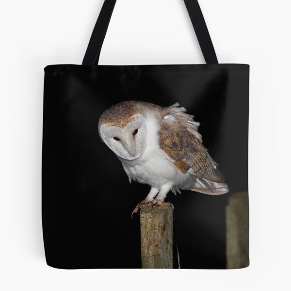 Item preview, Barn Owl designed and sold by Ian Hufton.