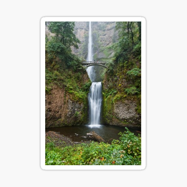Multnomah Falls Sticker