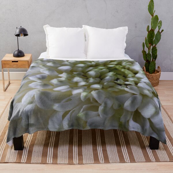 Item preview, Classic Chrysanthemum Macro designed and sold by Violaman.
