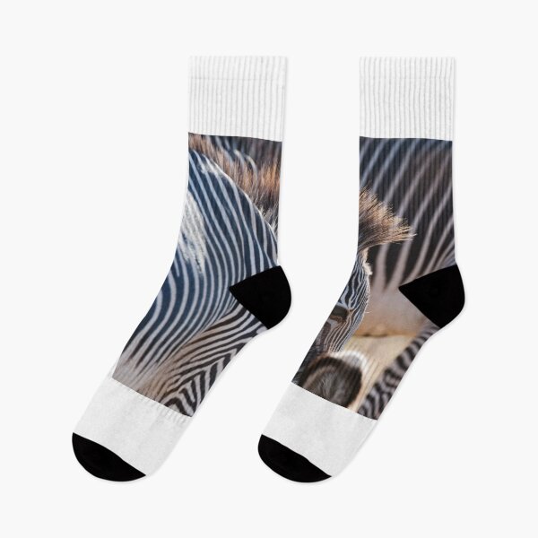 Item preview, Grevy's zebra in northern Kenya designed and sold by Ingo Gerlach.
