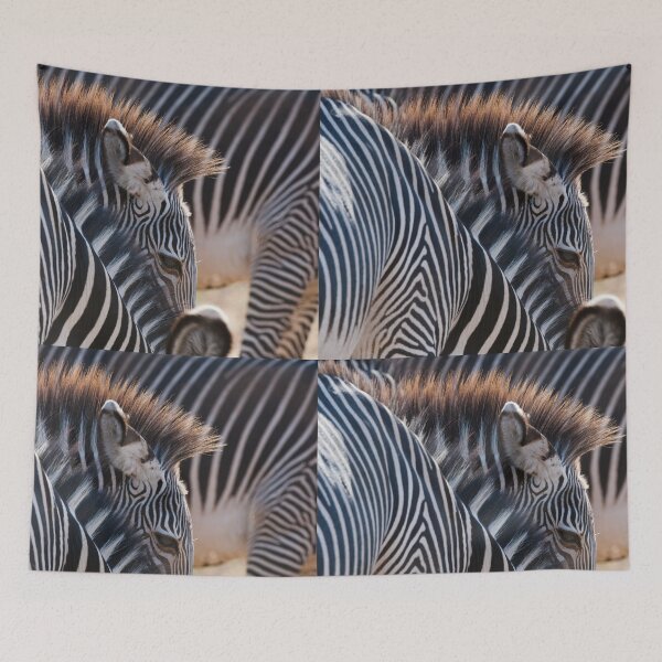 Item preview, Grevy's zebra in northern Kenya designed and sold by Ingo Gerlach.