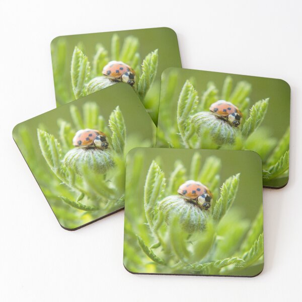 Item preview, Ladybug macro photography Ladybug designed and sold by xaileen.