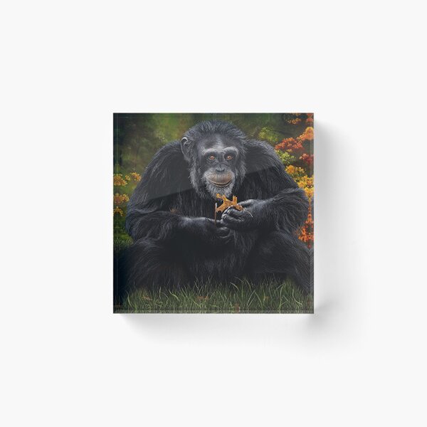 Item preview, Simple pleasures, chimpanzee portrait designed and sold by Debra Dickson.