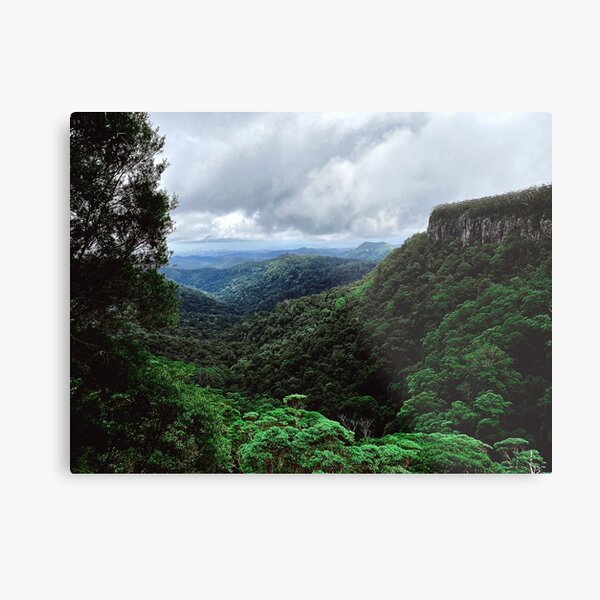 Item preview, Lamington NP Queensland designed and sold by Mark Malinowski.