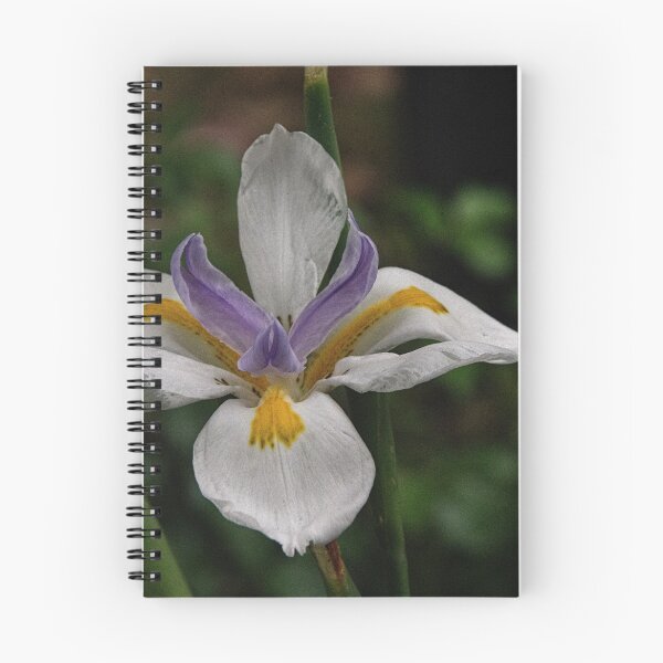 Item preview, Iris Leith Park Victoria 20151206 6431   designed and sold by Fred Mitchell.