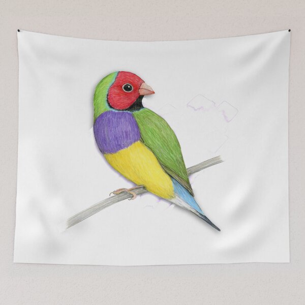 Item preview,  Gouldian finch colour pencil drawing designed and sold by Bwiselizzy.