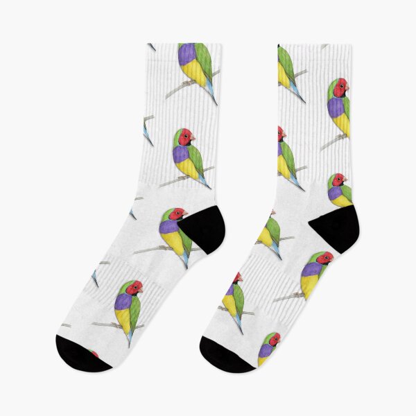 Item preview, Gouldian finch colour pencil drawing designed and sold by Bwiselizzy.
