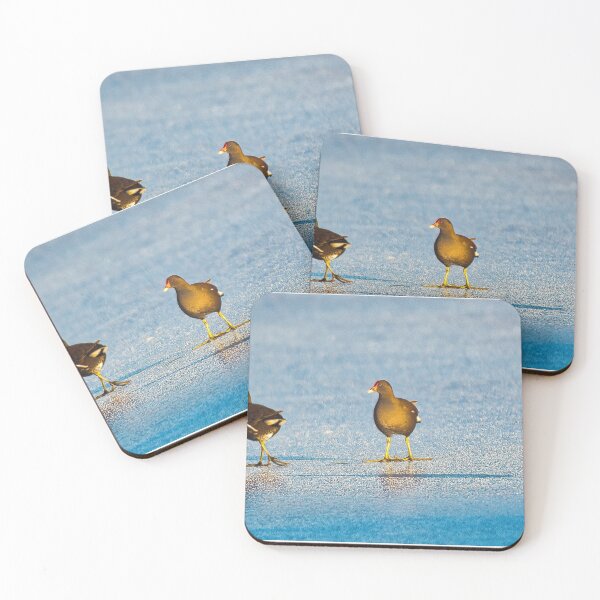 Item preview, A 'fleet' of Moorhens designed and sold by RobinDHunter.