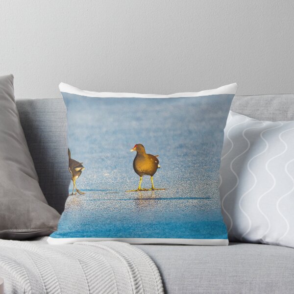 Item preview, A 'fleet' of Moorhens designed and sold by RobinDHunter.