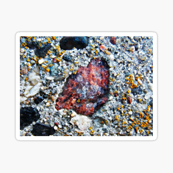 Item preview, Red Rock  designed and sold by mezzilicious.