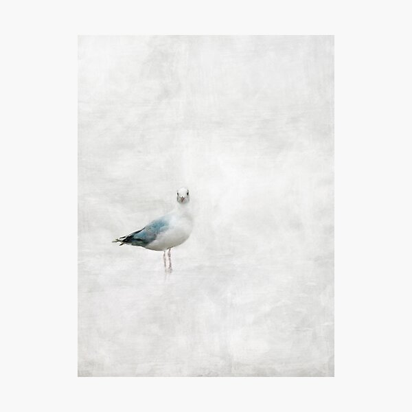 Item preview, gull /Agat/ designed and sold by agat-marek.