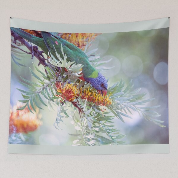 Item preview, Lorikeet foraging in the Grevillea robusta designed and sold by imaginethis.
