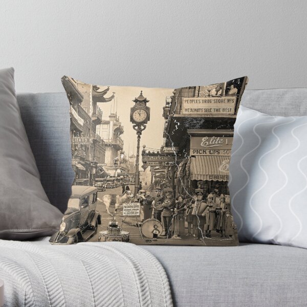 https://ih1.redbubble.net/image.2006438720.0357/throwpillow,small,600x-bg,f8f8f8-c,0,120,600,600.jpg