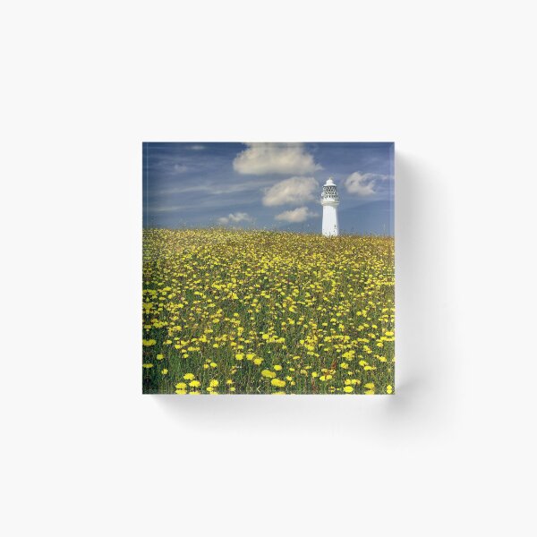 Item preview, Lighthouse in dandelion field  designed and sold by leephotoofyork.