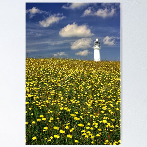 Item preview, Lighthouse in dandelion field  designed and sold by leephotoofyork.