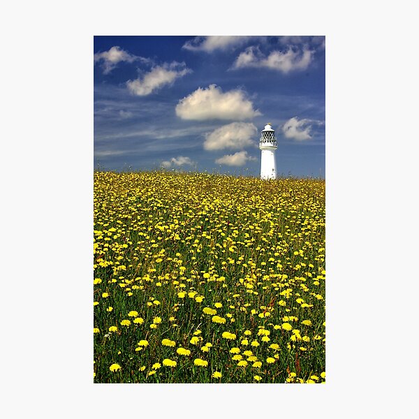 Item preview, Lighthouse in dandelion field  designed and sold by leephotoofyork.