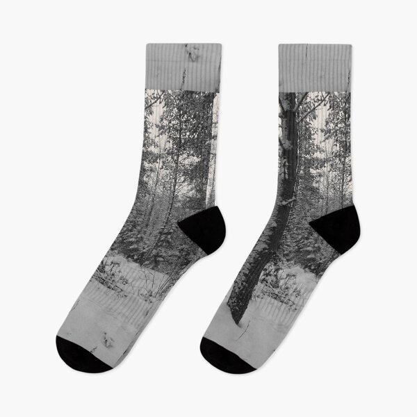 Item preview, Kiikeli forest with snow bw designed and sold by Jouko Lehto Photography.