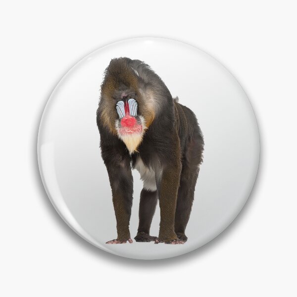 Item preview, Mandrill T-ShirtMandrill designed and sold by BloomJacob.
