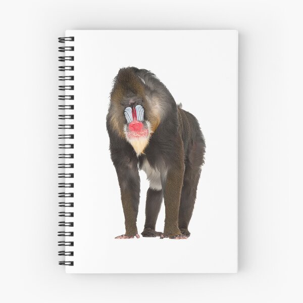 Item preview, Mandrill T-ShirtMandrill designed and sold by BloomJacob.