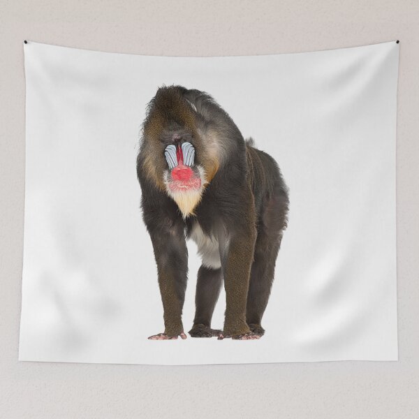 Item preview, Mandrill T-ShirtMandrill designed and sold by BloomJacob.