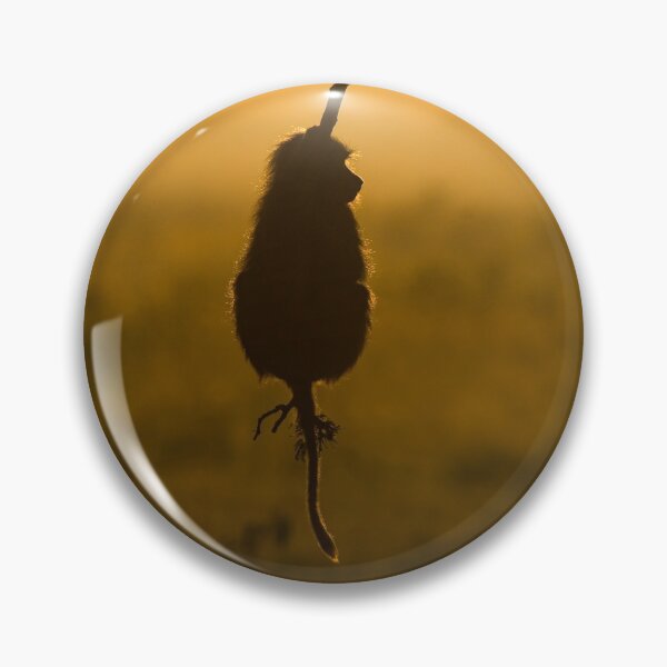 Item preview, hang out, hanging around designed and sold by Ingo Gerlach.