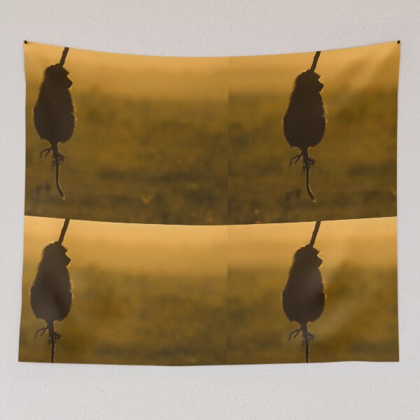 Item preview, hang out, hanging around designed and sold by Ingo Gerlach.
