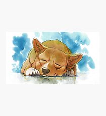 Cowboy Bebop Photographic Print