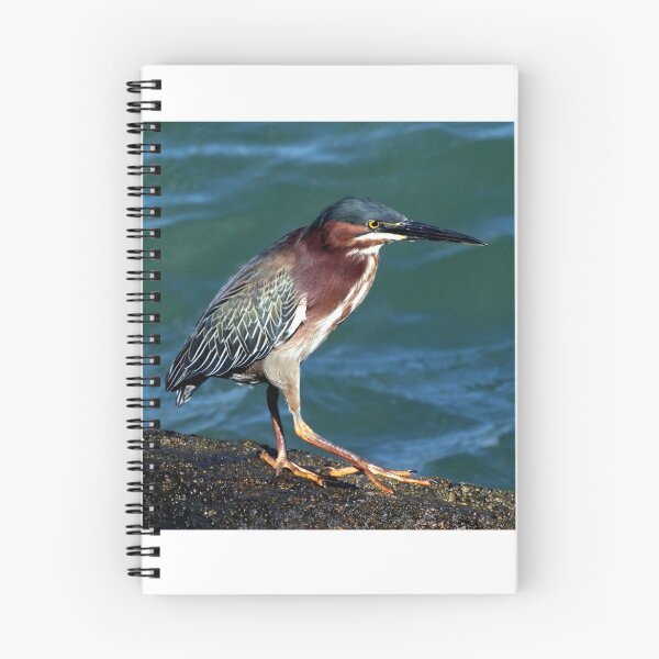 Item preview, GREENBACK HERON designed and sold by TomBaumker.