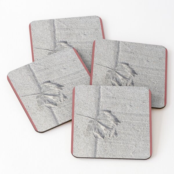 Item preview, Delicate leaf imprint in hard concrete designed and sold by Pelikancrazy.