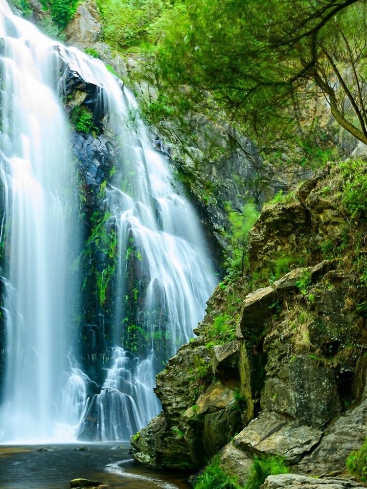Thumbnail 4 of 4, iPhone Case, Waterfall In the Wild designed and sold by Rittichai.