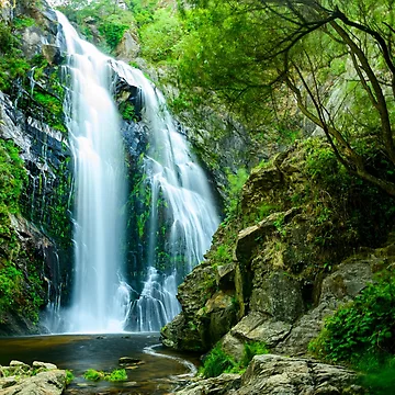Artwork thumbnail, Waterfall In the Wild by JTS STORE