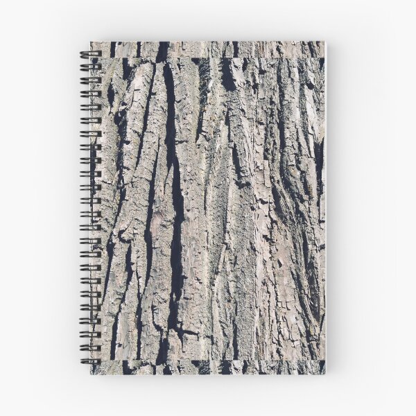 Item preview, Bark of a tree in close-up designed and sold by Pelikancrazy.