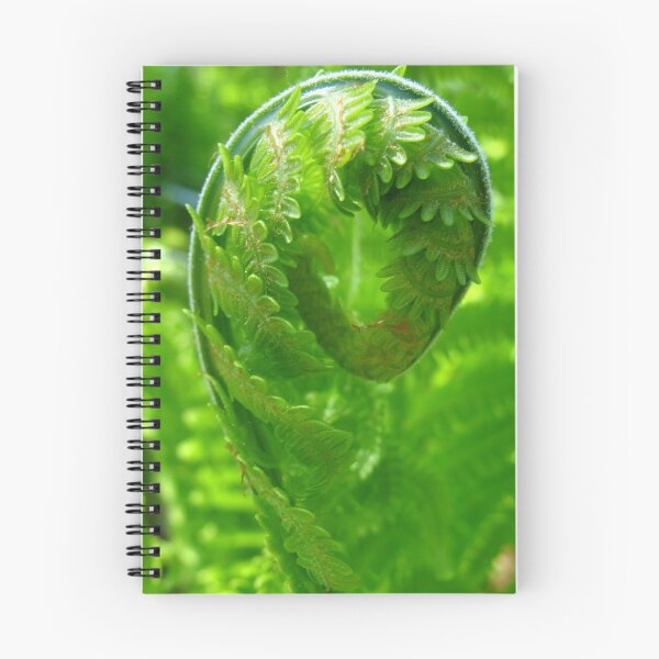 Item preview, Fiddleheads designed and sold by MarianBendeth.