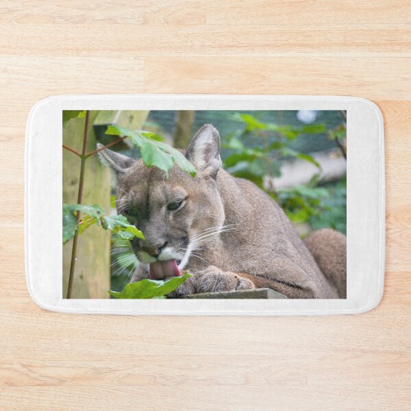 Item preview, Mountain Lion designed and sold by Ksswaden.