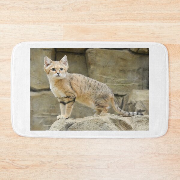 Item preview, Sand cat standing proud designed and sold by Ksswaden.
