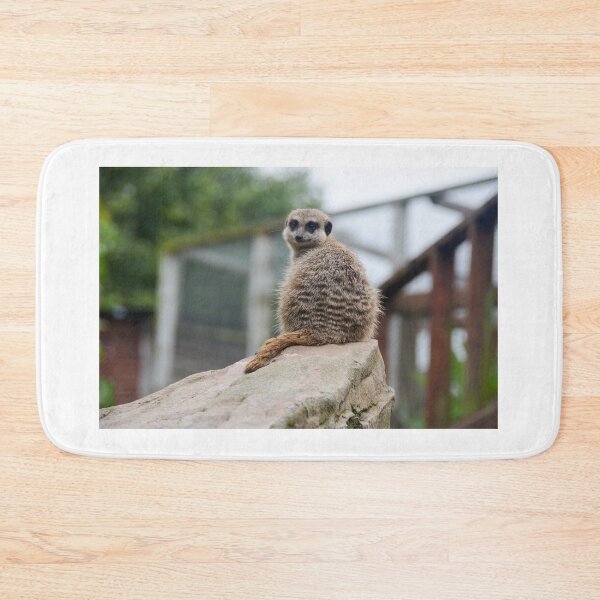 Item preview, Meerkat @ Exmoor Zoo designed and sold by Ksswaden.